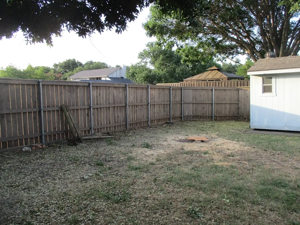 Cleared yard after professional tree removal in Fisher